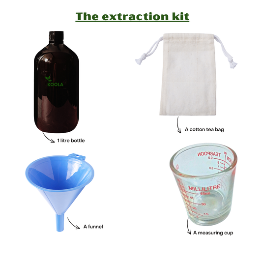 El kit de extracción de té